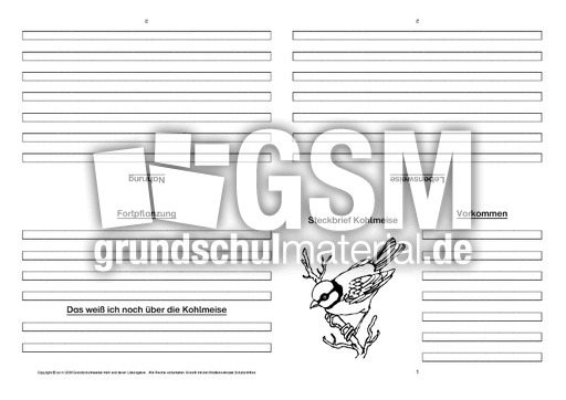 Kohlmeise-Faltbuch-vierseitig.pdf